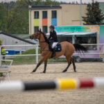 Gwiazdy jeździectwa w Drzonkowie! [GALERIA ZDJĘĆ] Radio Zachód - Lubuskie