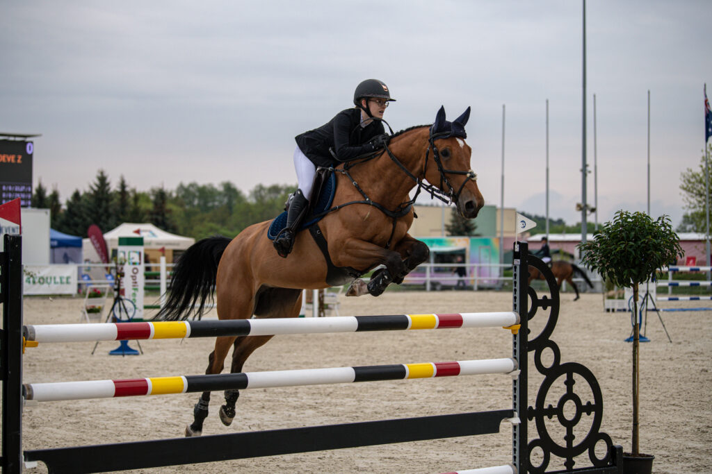 Gwiazdy jeździectwa w Drzonkowie! [GALERIA ZDJĘĆ] Radio Zachód - Lubuskie