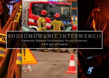 Fot. Państwowa Straż Pożarna/FB
