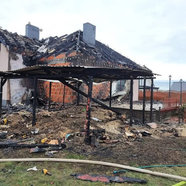 Fot. Azyl na Koziej/FB