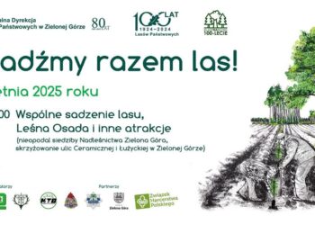grafika: materiały organizatorów