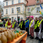 Na zielonogórskim deptaku trwa akcja "Idą święta!" [GALERIA ZDJĘĆ] Radio Zachód - Lubuskie