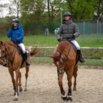 Gwiazdy jeździectwa w Drzonkowie! [GALERIA ZDJĘĆ] Radio Zachód - Lubuskie