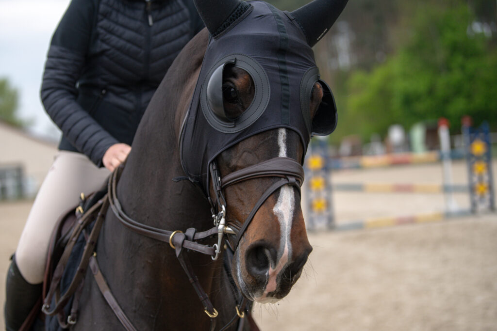 Gwiazdy jeździectwa w Drzonkowie! [GALERIA ZDJĘĆ] Radio Zachód - Lubuskie