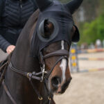 Gwiazdy jeździectwa w Drzonkowie! [GALERIA ZDJĘĆ] Radio Zachód - Lubuskie