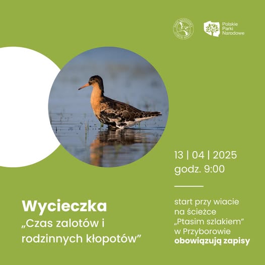 Zapisz się na wycieczkę po PN Ujście Warty Radio Zachód - Lubuskie