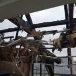 Pożar Azylu na Koziej Radio Zachód - Lubuskie