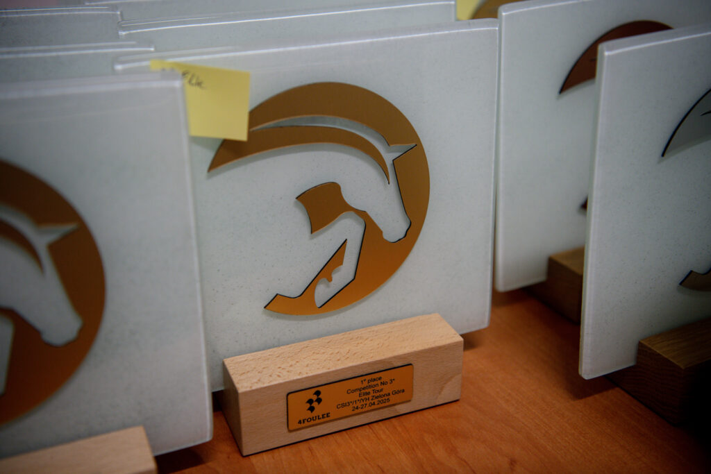 Gwiazdy jeździectwa w Drzonkowie! [GALERIA ZDJĘĆ] Radio Zachód - Lubuskie