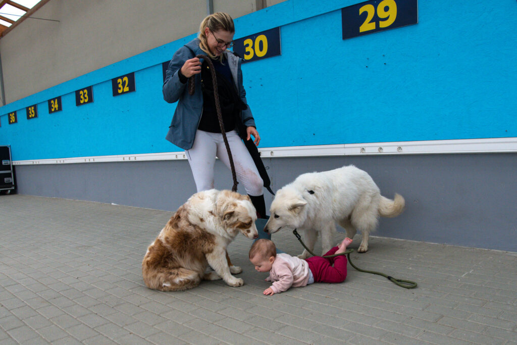 Gwiazdy jeździectwa w Drzonkowie! [GALERIA ZDJĘĆ] Radio Zachód - Lubuskie