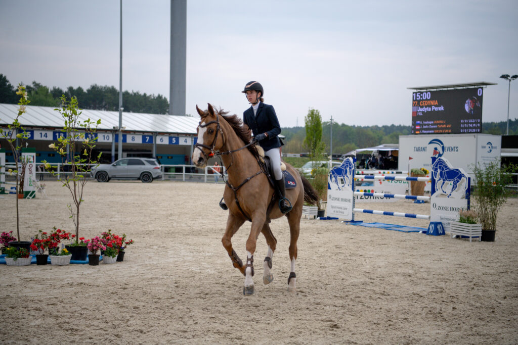 Gwiazdy jeździectwa w Drzonkowie! [GALERIA ZDJĘĆ] Radio Zachód - Lubuskie