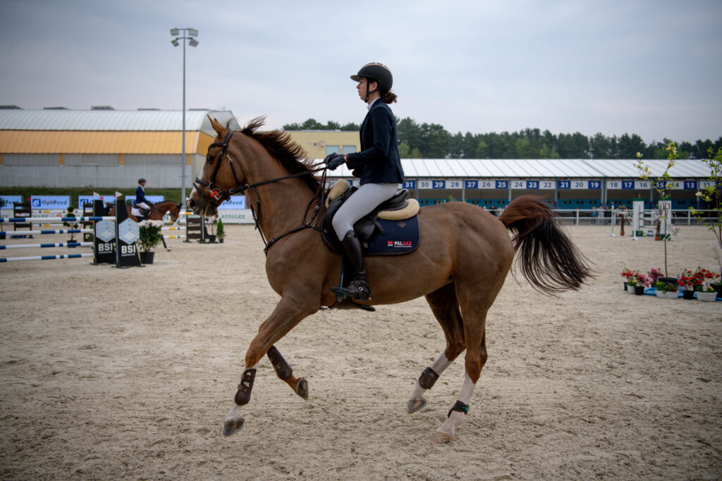Gwiazdy jeździectwa w Drzonkowie! [GALERIA ZDJĘĆ] Radio Zachód - Lubuskie
