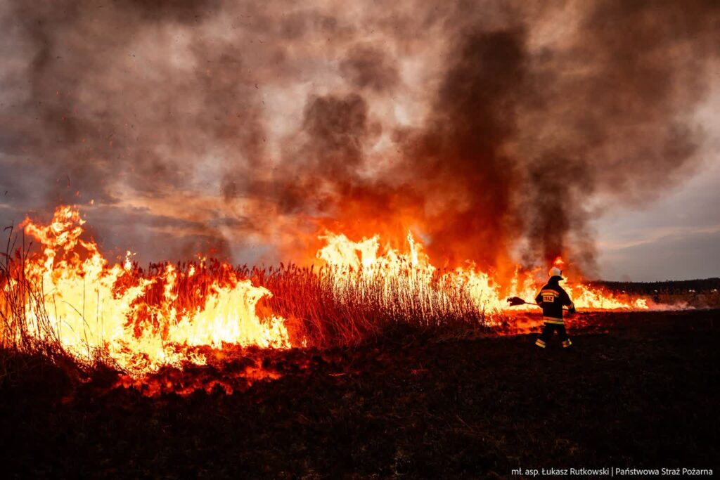 Zdjęcie ilustracyjne. Fot. mł. asp. Łukasz Rutkowski/Państwowa Straż Pożarna/FB