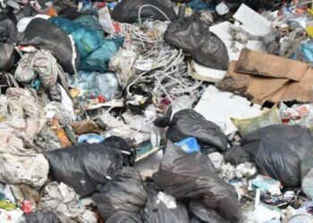 Inneko o budowie ekociepłowni za 400 mln zł Radio Zachód - Lubuskie