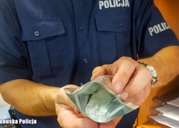 Zdjęcie ilustracyjne. Fot. lubuska Policja