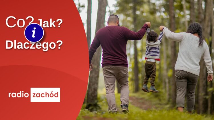 Bezpieczeństwo w lesie Radio Zachód - Lubuskie