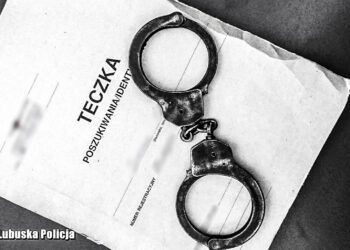 Wydano za nim pięć listów gończych. 33-latek w areszcie Radio Zachód - Lubuskie