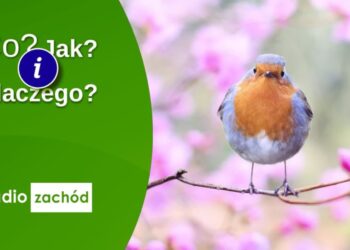 Symbolika i różnorodność wielkanocnych zwyczajów Radio Zachód - Lubuskie