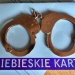 Niebieskie karty - zdj. ilustracyjne (Polska Policja)