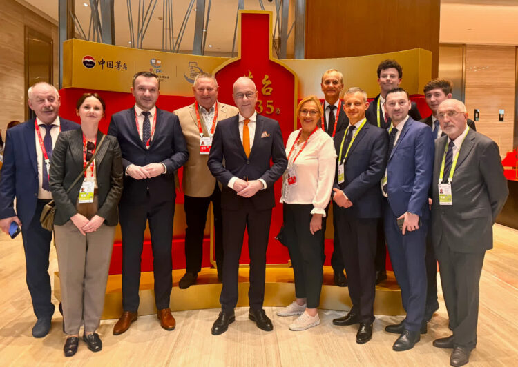 Lubuska misja gospodarcza na targach Hainan Expo 2025 w Chinach (lubuskie.pl)