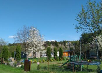 Działka rekreacyjna? W Zielonej Górze brak Radio Zachód - Lubuskie