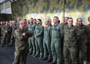 Żołnierze WP podczas apelu (PAP/Łukasz Gągulski)