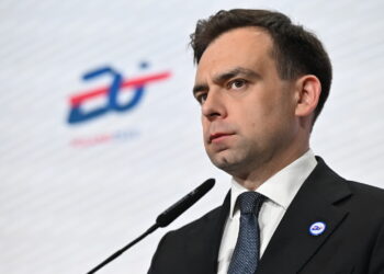 Andrzej Domański (PAP/Radek Pietruszka)