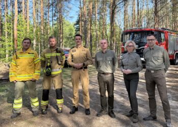 Majówka w lasach. Strażacy i leśnicy apelują o odpowiednie zachowanie Radio Zachód - Lubuskie