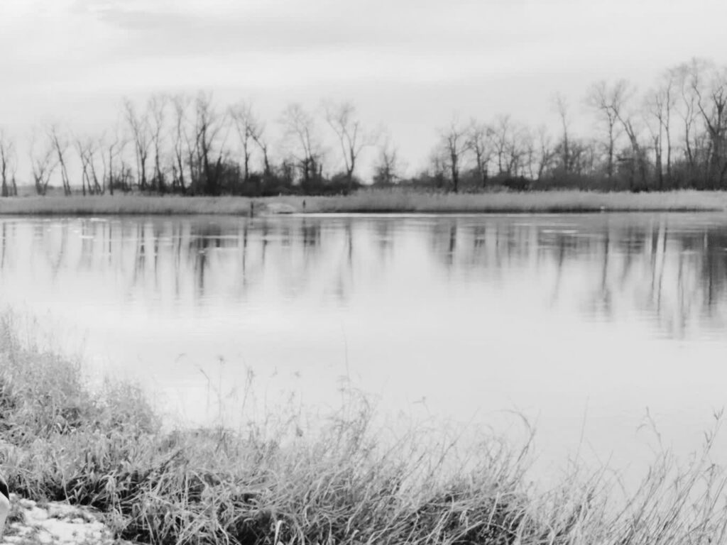 Osoba Odra Radio Zachód - Lubuskie