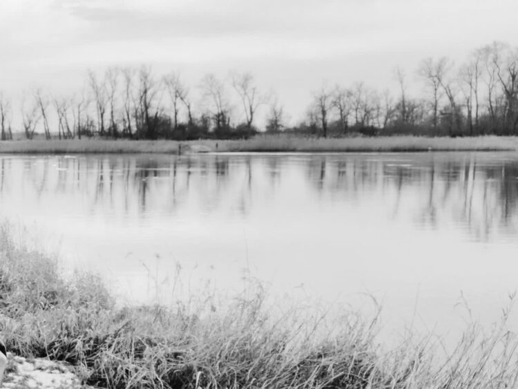 Osoba Odra Radio Zachód - Lubuskie