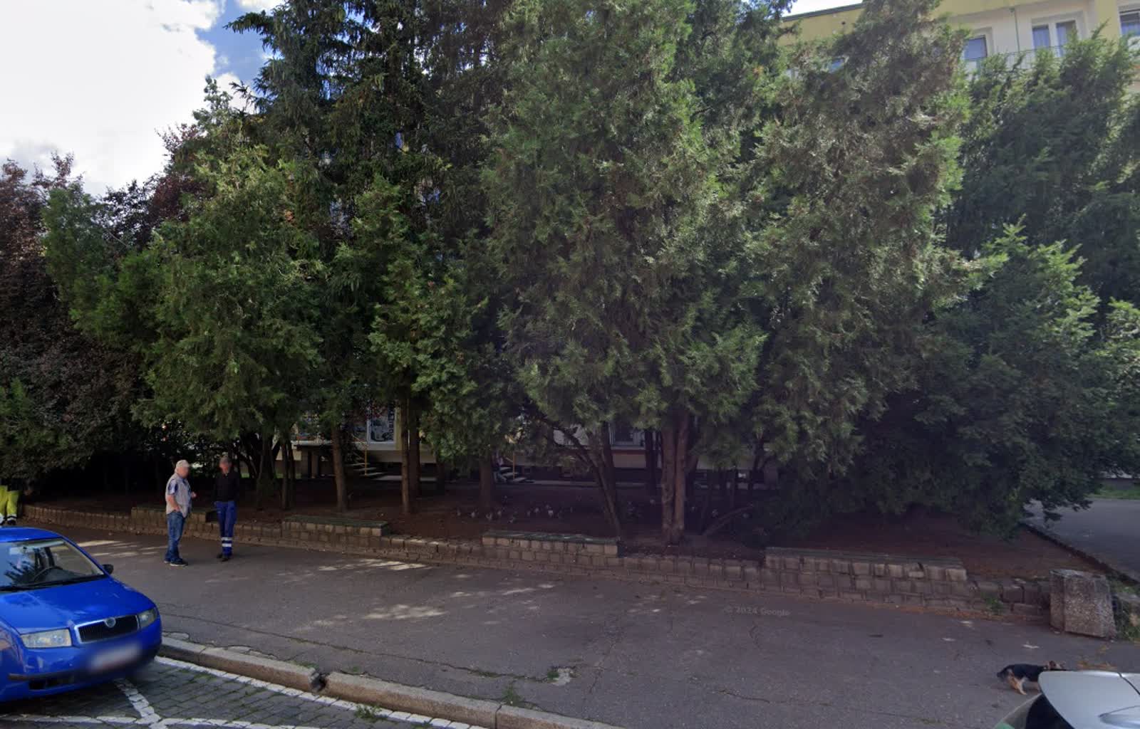 Nowy park kieszonkowy powstanie w Gorzowie. Będzie zielony i świecący Radio Zachód - Lubuskie