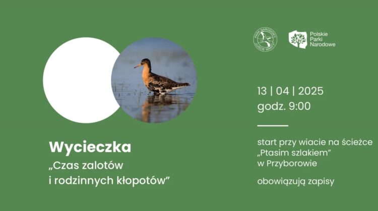 graf. Park Narodowy Ujście Warty