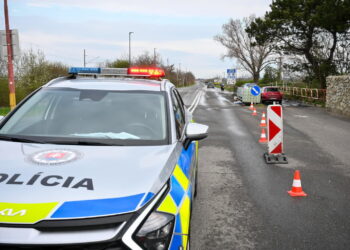 Pryszczyca na Słowacji (PAP/EPA/Csaba Krizsan)