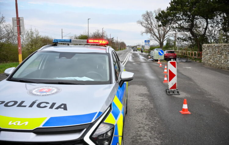 Pryszczyca na Słowacji (PAP/EPA/Csaba Krizsan)