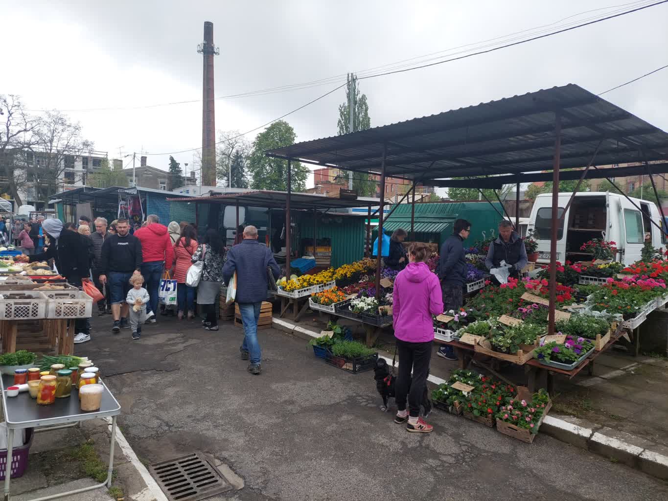 Świąteczne zakupy na rynku przy ul. Owocowej [ZDJĘCIA] Radio Zachód - Lubuskie