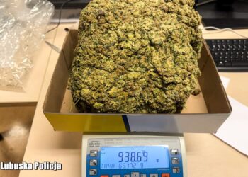 Kilogram marihuany w zderzaku. 28-latek zatrzymany Radio Zachód - Lubuskie