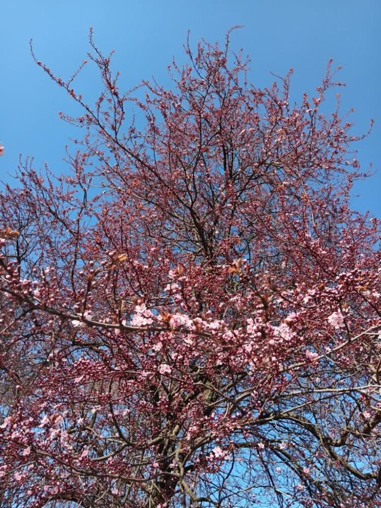 Jak zmienia się charakter działek? O roli segregacji odpadów 9 fot. S. Misiak