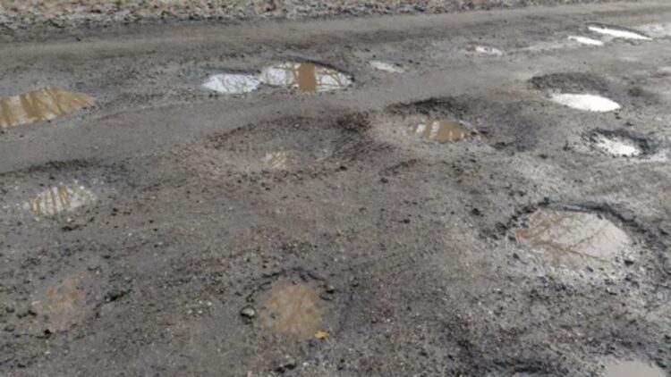 fot. M. Doliński - Radio PiK