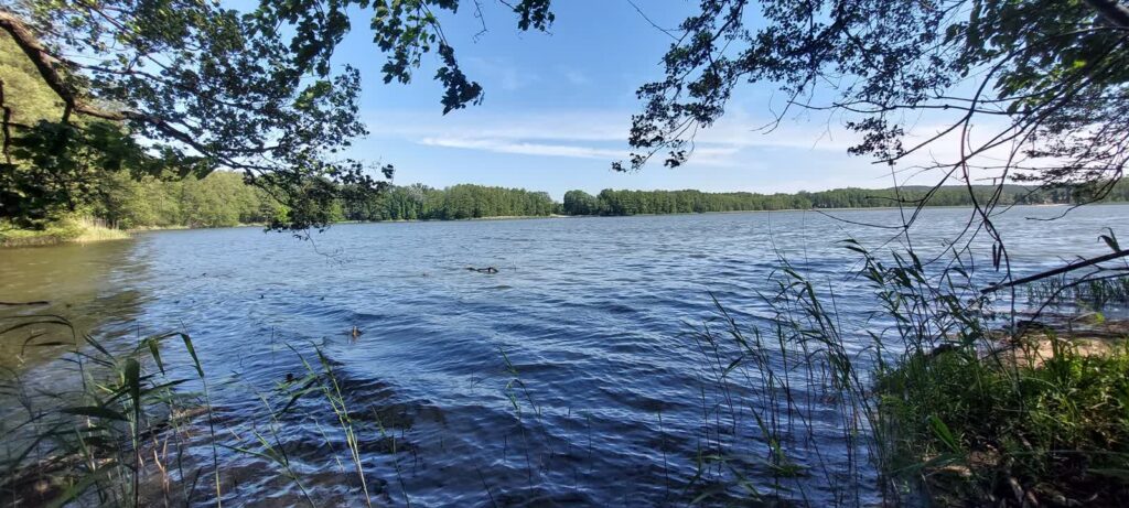 Remont plaży nad jeziorem Goszcza fot. UG Lubrza/ facebook