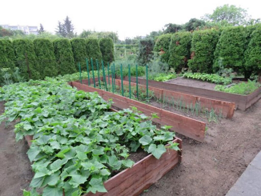 fot. PZD Gdańsk (fotografia ilustracyjna)