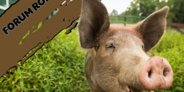 Forum Rolnika #4: Inwestycje poprawiające dobrostan bydła i świń Radio Zachód - Lubuskie