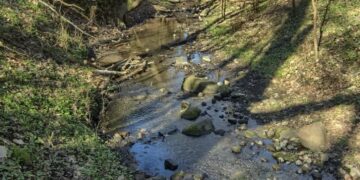 Zielonogórscy społecznicy walczą o tereny zielone Radio Zachód - Lubuskie