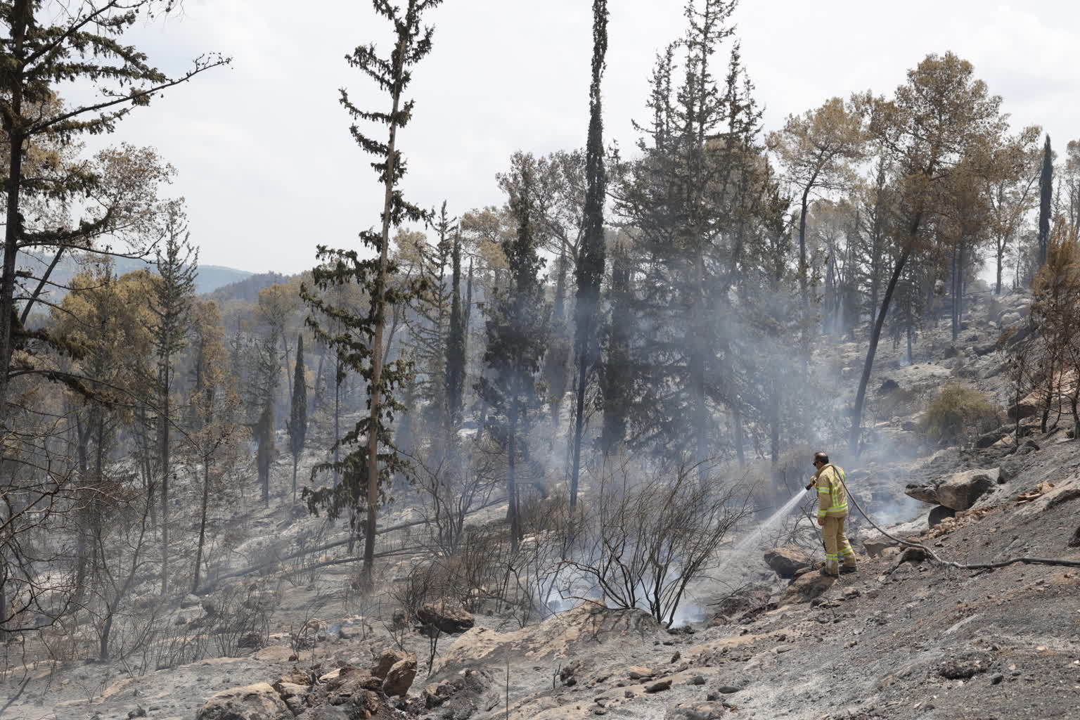 Izrael walczy z niszczycielskimi pożarami