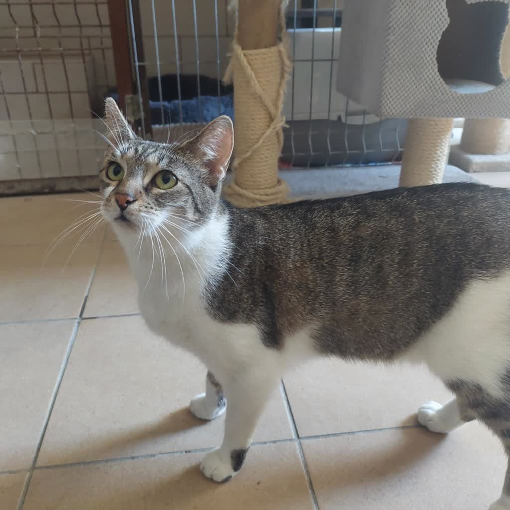 Zabierz kota do domu Radio Zachód - Lubuskie