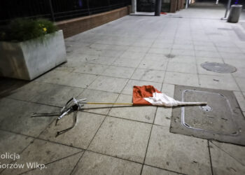 Zrywał polskie flagi. W zatrzymaniu pomógł monitoring [WIDEO] Radio Zachód - Lubuskie