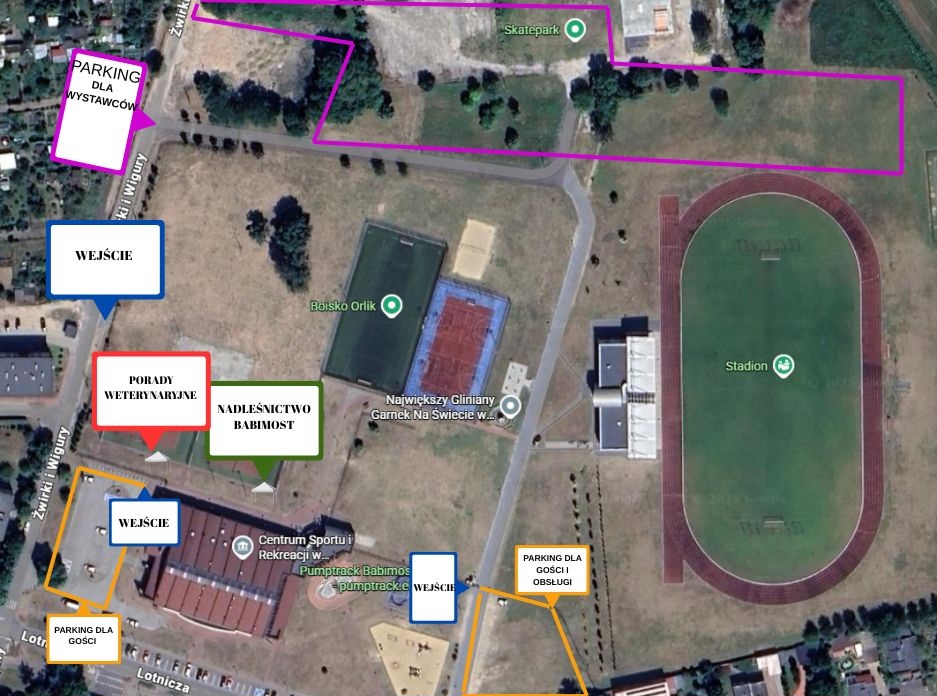Wystawa psów rasowych w Babimoście Radio Zachód - Lubuskie