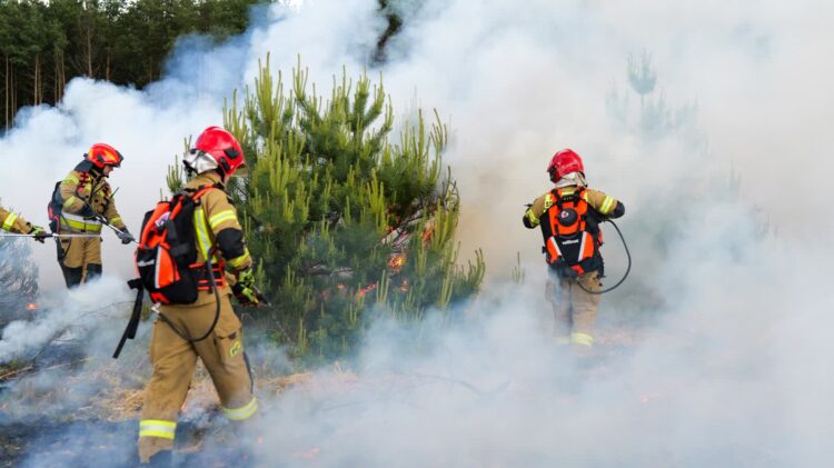 Walka z ogniem na poligonie w Międzyrzeczu 9 Walka z ogniem na poligonie w Międzyrzeczu Radio Zachód - Lubuskie