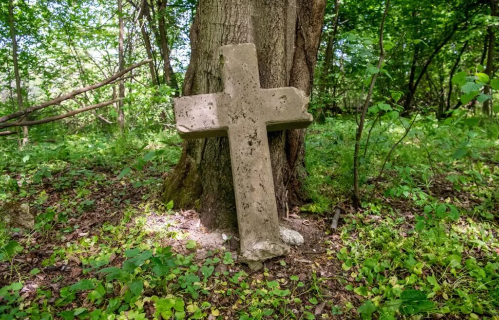 Puźniki Fot. PAP/Vladyslav Musiienko