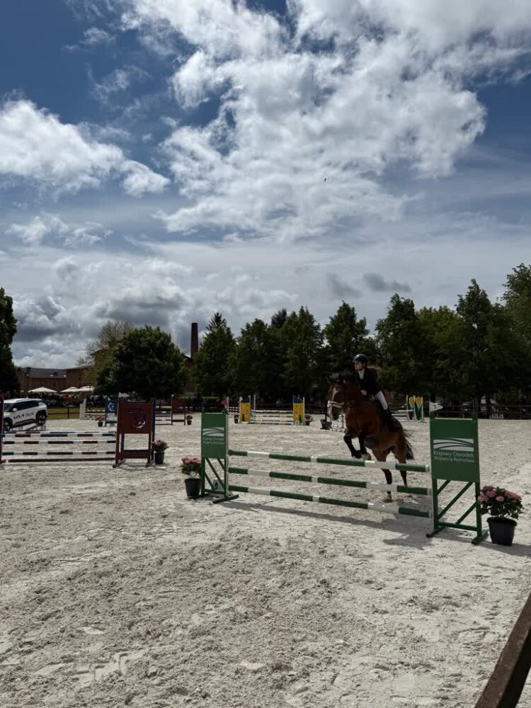 Mierzęcin Horse Show 2025 9 Mierzęcin Horse Show 2025 Radio Zachód - Lubuskie