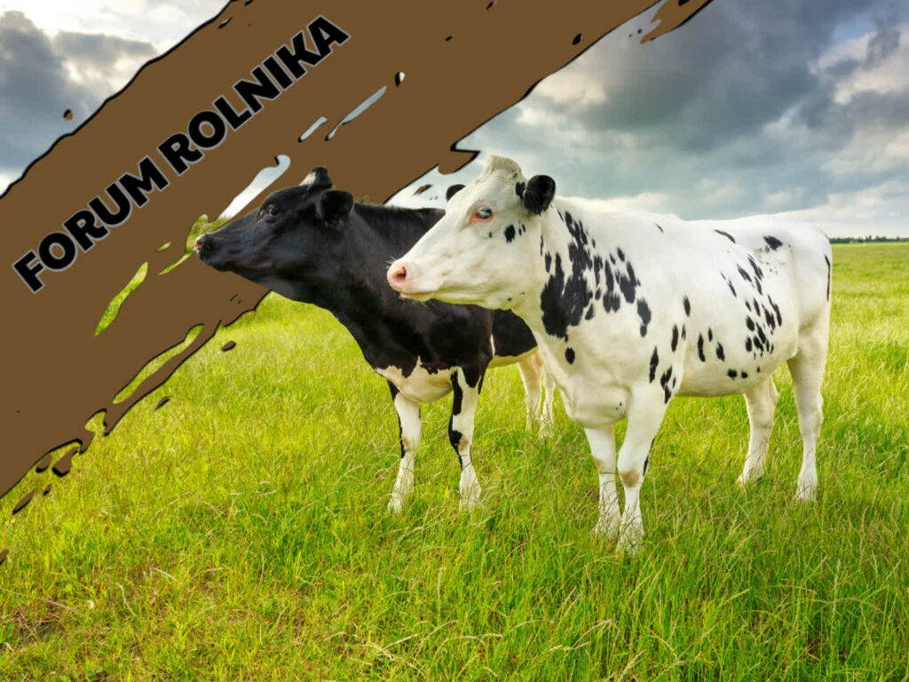 Forum Rolnika #3: Interwencja Rolnictwo Ekologiczne Radio Zachód - Lubuskie