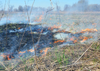 Coraz więcej pożarów traw. Gorzowska straż apeluje Radio Zachód - Lubuskie